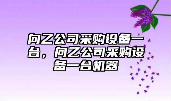 向乙公司采購設備一臺，向乙公司采購設備一臺機器
