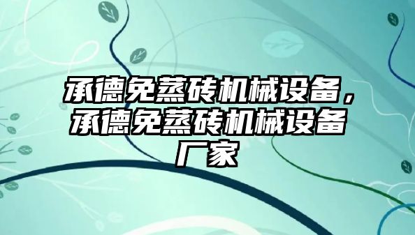 承德免蒸磚機械設備，承德免蒸磚機械設備廠(chǎng)家