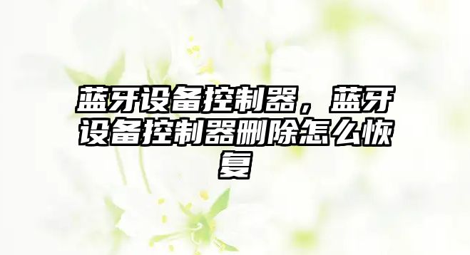 藍牙設備控制器，藍牙設備控制器刪除怎么恢復