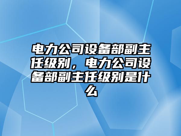 電力公司設備部副主任級別，電力公司設備部副主任級別是什么