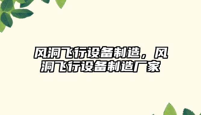 風(fēng)洞飛行設備制造，風(fēng)洞飛行設備制造廠(chǎng)家