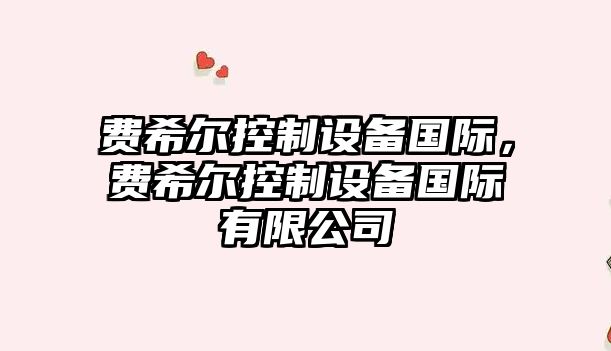 費希爾控制設備國際，費希爾控制設備國際有限公司