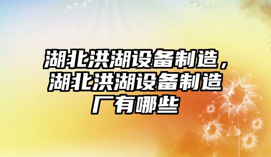 湖北洪湖設備制造，湖北洪湖設備制造廠(chǎng)有哪些