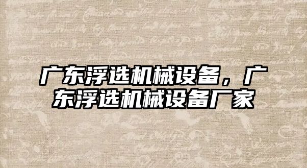廣東浮選機械設備，廣東浮選機械設備廠(chǎng)家