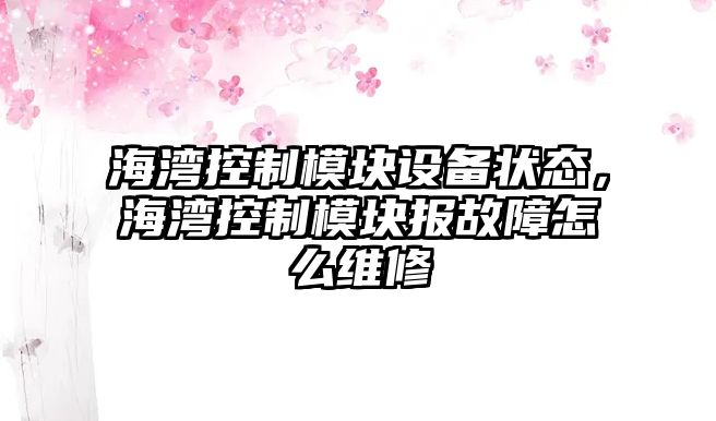 海灣控制模塊設備狀態(tài)，海灣控制模塊報故障怎么維修