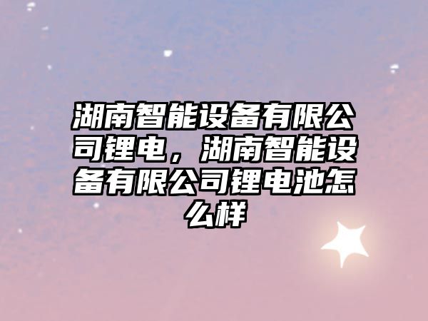 湖南智能設備有限公司鋰電，湖南智能設備有限公司鋰電池怎么樣
