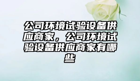 公司環(huán)境試驗設備供應商家，公司環(huán)境試驗設備供應商家有哪些