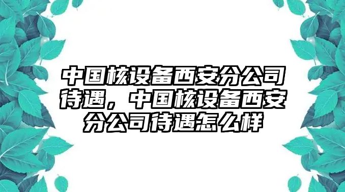 中國核設備西安分公司待遇，中國核設備西安分公司待遇怎么樣