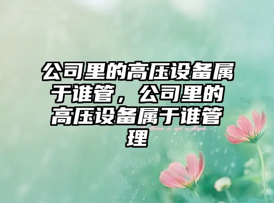 公司里的高壓設備屬于誰(shuí)管，公司里的高壓設備屬于誰(shuí)管理