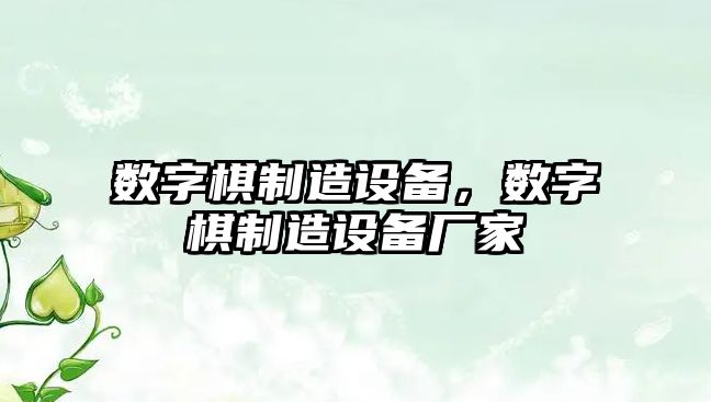 數字棋制造設備，數字棋制造設備廠(chǎng)家