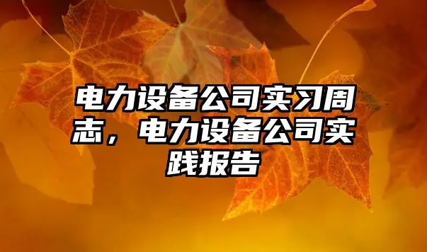 電力設備公司實(shí)習周志，電力設備公司實(shí)踐報告