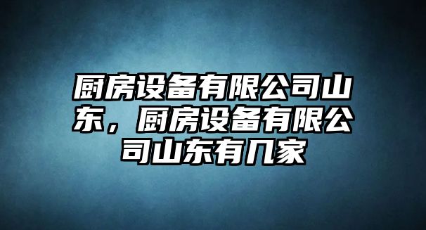 廚房設備有限公司山東，廚房設備有限公司山東有幾家