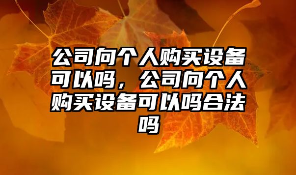 公司向個(gè)人購買(mǎi)設備可以嗎，公司向個(gè)人購買(mǎi)設備可以嗎合法嗎