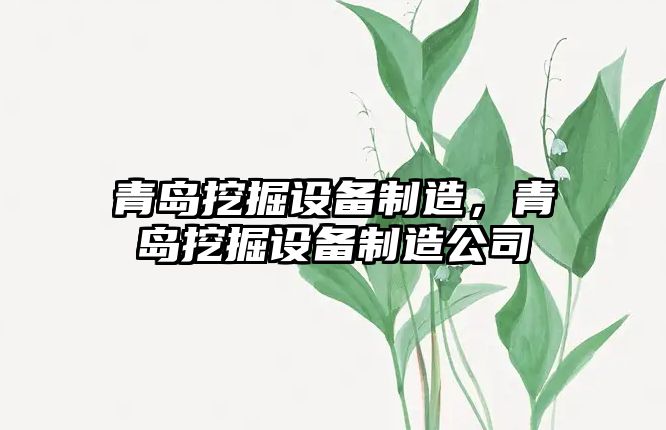 青島挖掘設備制造，青島挖掘設備制造公司