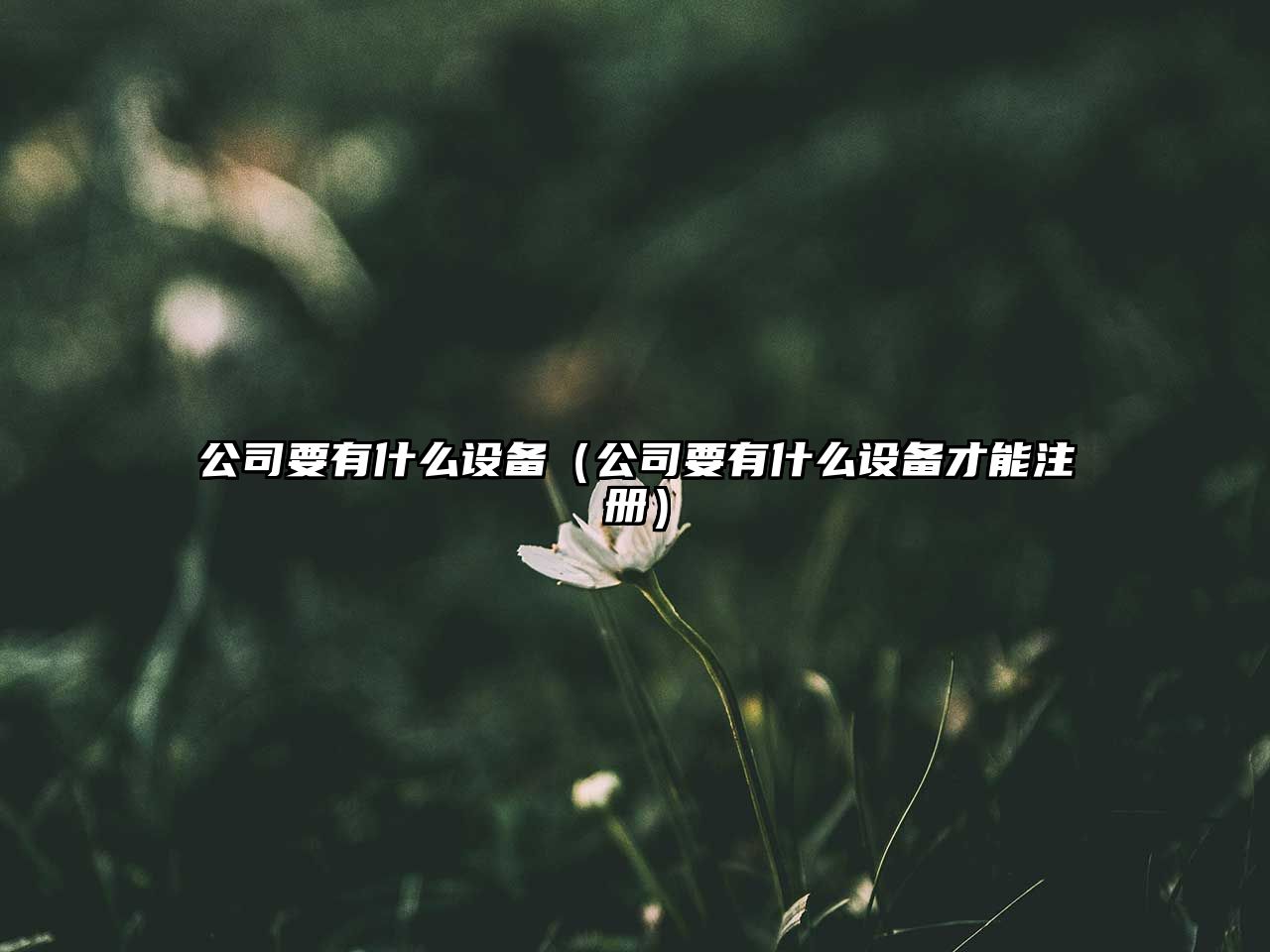 公司要有什么設備（公司要有什么設備才能注冊）
