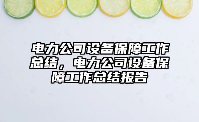 電力公司設備保障工作總結，電力公司設備保障工作總結報告