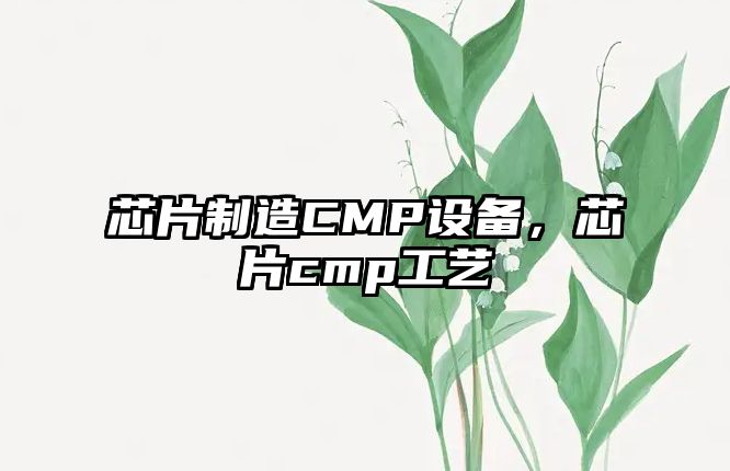 芯片制造CMP設備，芯片cmp工藝