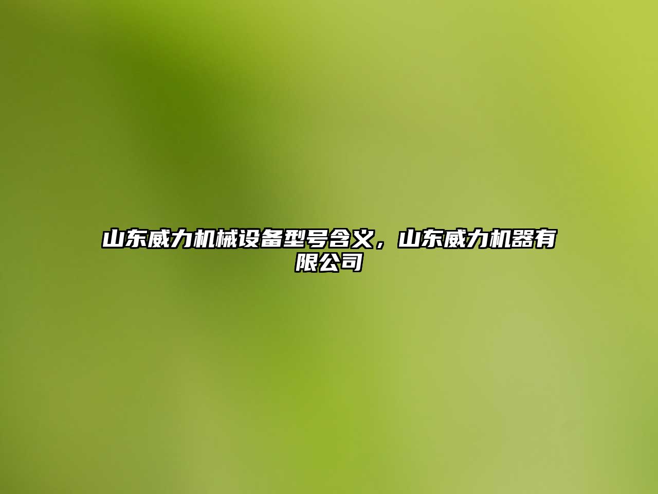 山東威力機械設備型號含義，山東威力機器有限公司
