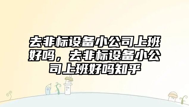 去非標設備小公司上班好嗎，去非標設備小公司上班好嗎知乎