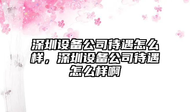 深圳設備公司待遇怎么樣，深圳設備公司待遇怎么樣啊