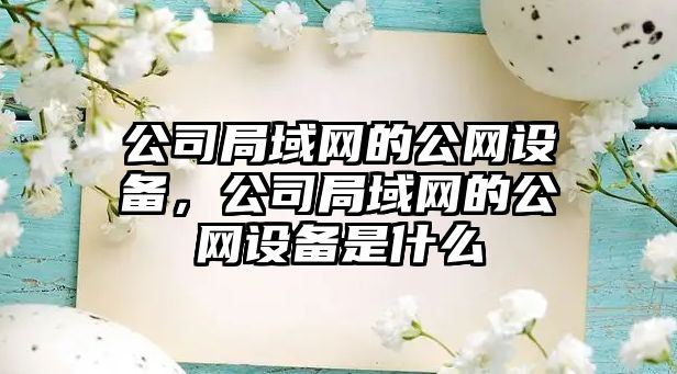 公司局域網(wǎng)的公網(wǎng)設備，公司局域網(wǎng)的公網(wǎng)設備是什么
