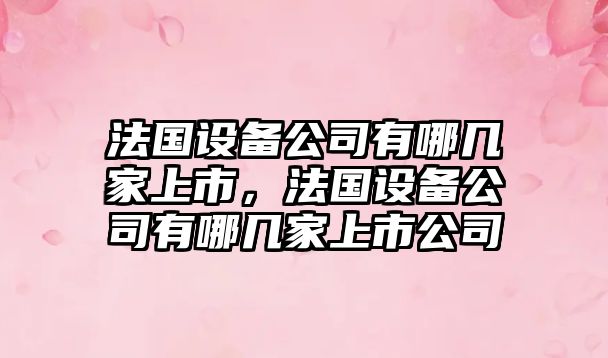 法國設備公司有哪幾家上市，法國設備公司有哪幾家上市公司