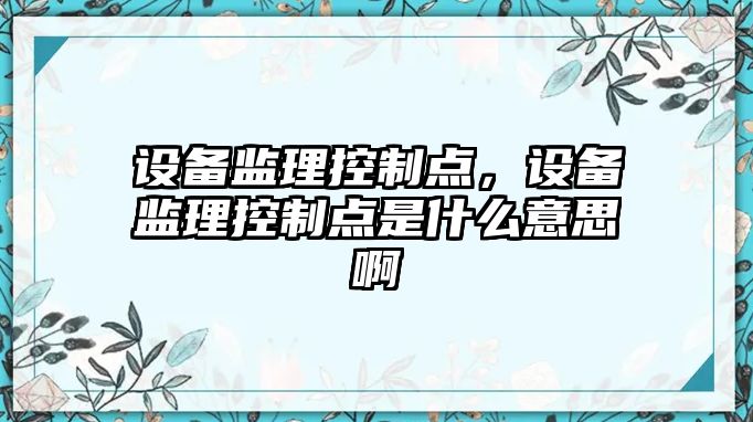 設備監理控制點(diǎn)，設備監理控制點(diǎn)是什么意思啊