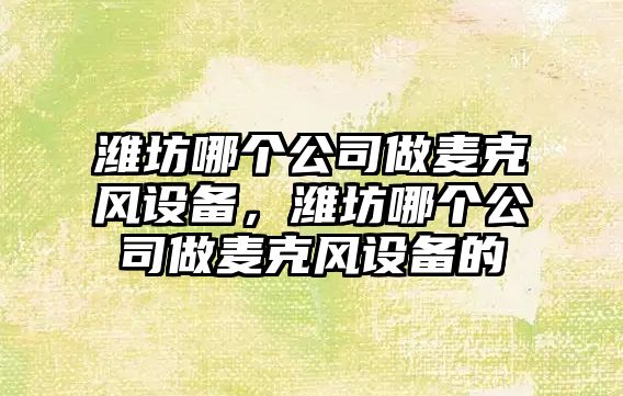濰坊哪個(gè)公司做麥克風(fēng)設備，濰坊哪個(gè)公司做麥克風(fēng)設備的