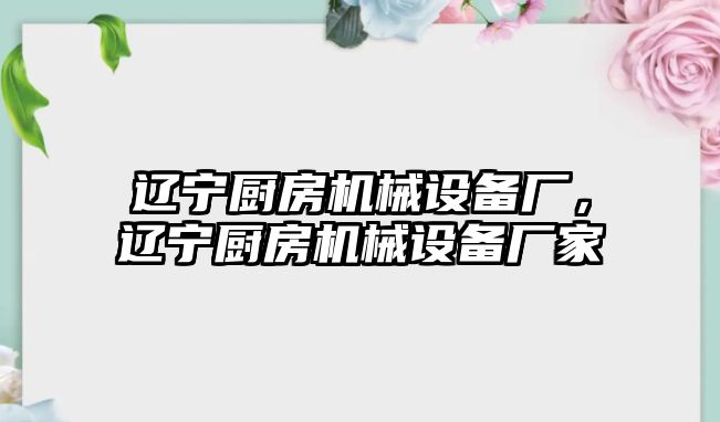 遼寧廚房機械設備廠(chǎng)，遼寧廚房機械設備廠(chǎng)家