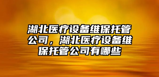 湖北醫療設備維保托管公司，湖北醫療設備維保托管公司有哪些