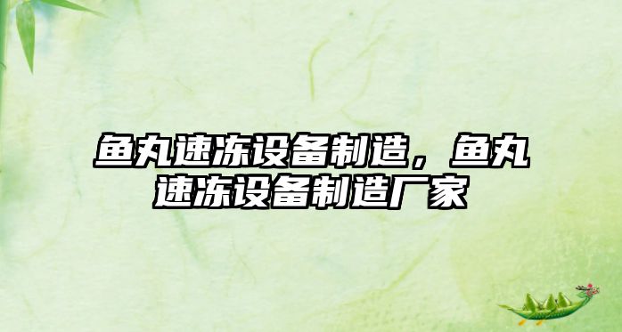 魚(yú)丸速凍設備制造，魚(yú)丸速凍設備制造廠(chǎng)家