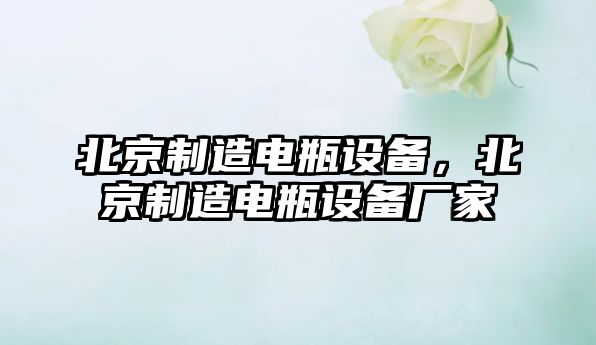 北京制造電瓶設備，北京制造電瓶設備廠(chǎng)家