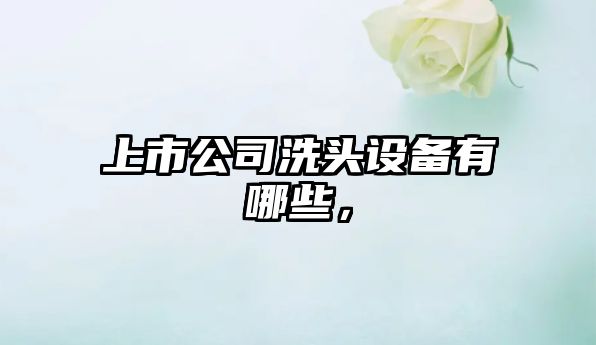 上市公司洗頭設備有哪些，