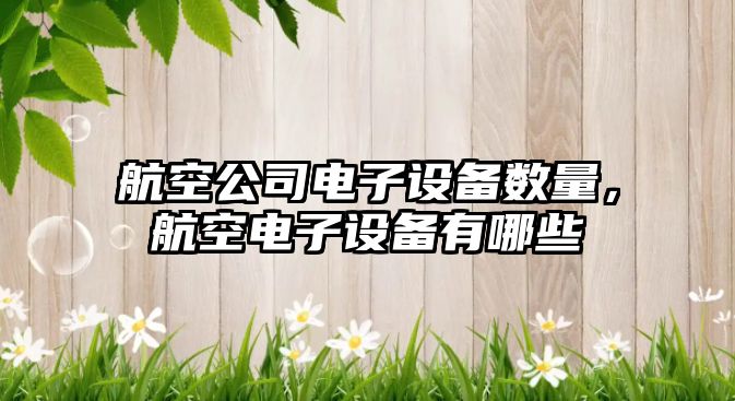 航空公司電子設備數量，航空電子設備有哪些
