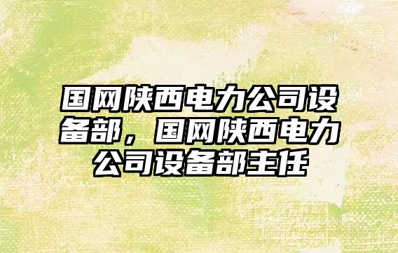 國網(wǎng)陜西電力公司設備部，國網(wǎng)陜西電力公司設備部主任