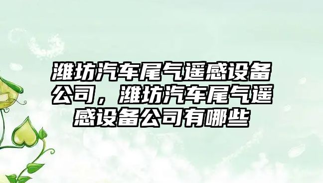濰坊汽車(chē)尾氣遙感設備公司，濰坊汽車(chē)尾氣遙感設備公司有哪些