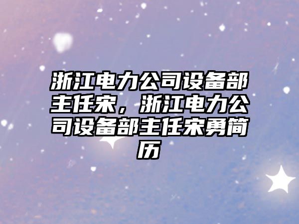 浙江電力公司設備部主任宋，浙江電力公司設備部主任宋勇簡(jiǎn)歷