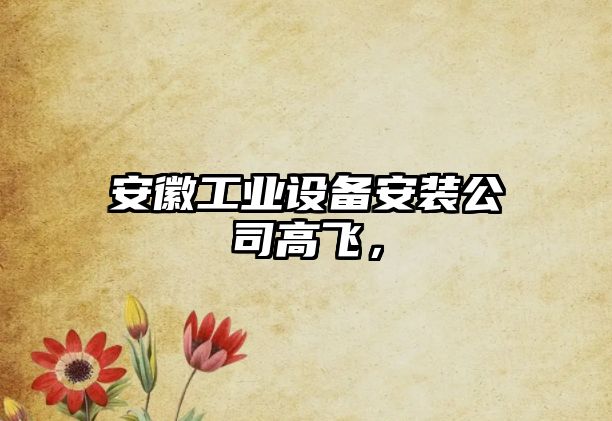 安徽工業(yè)設備安裝公司高飛，