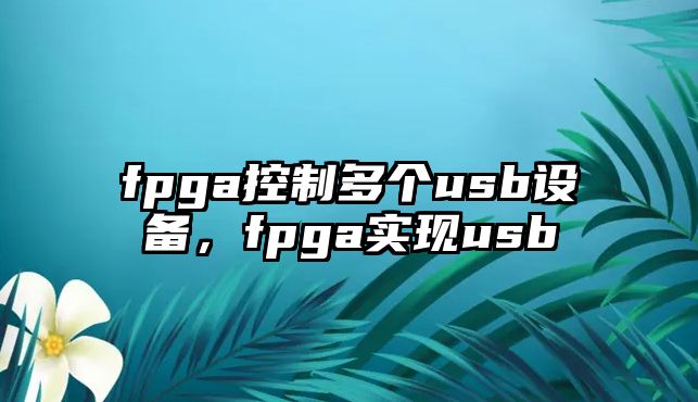 fpga控制多個(gè)usb設備，fpga實(shí)現usb