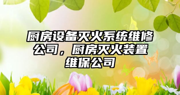 廚房設備滅火系統維修公司，廚房滅火裝置維保公司
