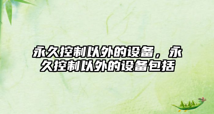 永久控制以外的設備，永久控制以外的設備包括