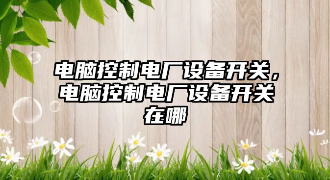 電腦控制電廠(chǎng)設備開(kāi)關(guān)，電腦控制電廠(chǎng)設備開(kāi)關(guān)在哪