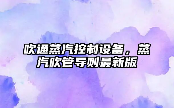 吹通蒸汽控制設備，蒸汽吹管導則最新版