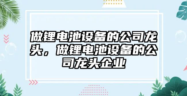 做鋰電池設備的公司龍頭，做鋰電池設備的公司龍頭企業(yè)