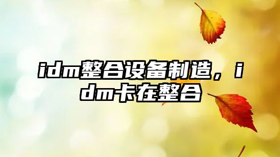 idm整合設備制造，idm卡在整合