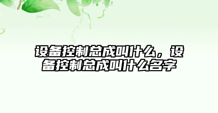 設備控制總成叫什么，設備控制總成叫什么名字