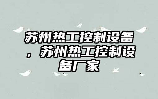 蘇州熱工控制設備，蘇州熱工控制設備廠(chǎng)家