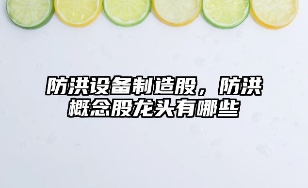 防洪設備制造股，防洪概念股龍頭有哪些