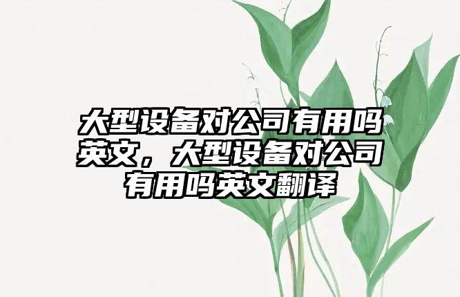 大型設備對公司有用嗎英文，大型設備對公司有用嗎英文翻譯