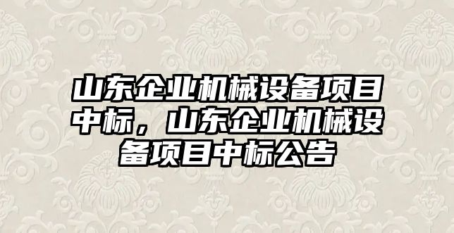 山東企業(yè)機械設備項目中標，山東企業(yè)機械設備項目中標公告